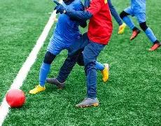 哈兰德错失,良机,主裁判罚引,金宝博188bet体育官网,APP下载,注册领彩金,官方网站,网站入口